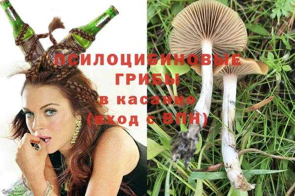 не бодяженный Баксан