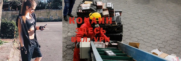 хмурый Балабаново